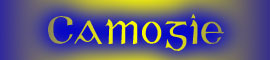 camogie-logo-2.jpg